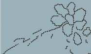 Convocatorias  - 